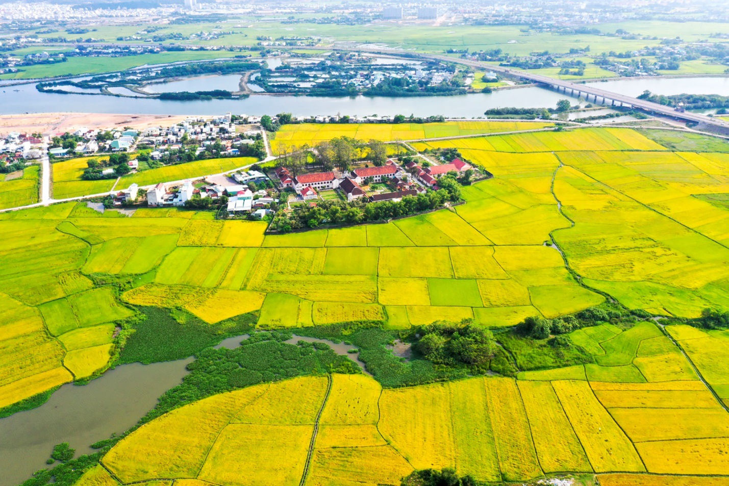 gia lai xuc tien, thu hut day tu hon 32 ty usd - 9