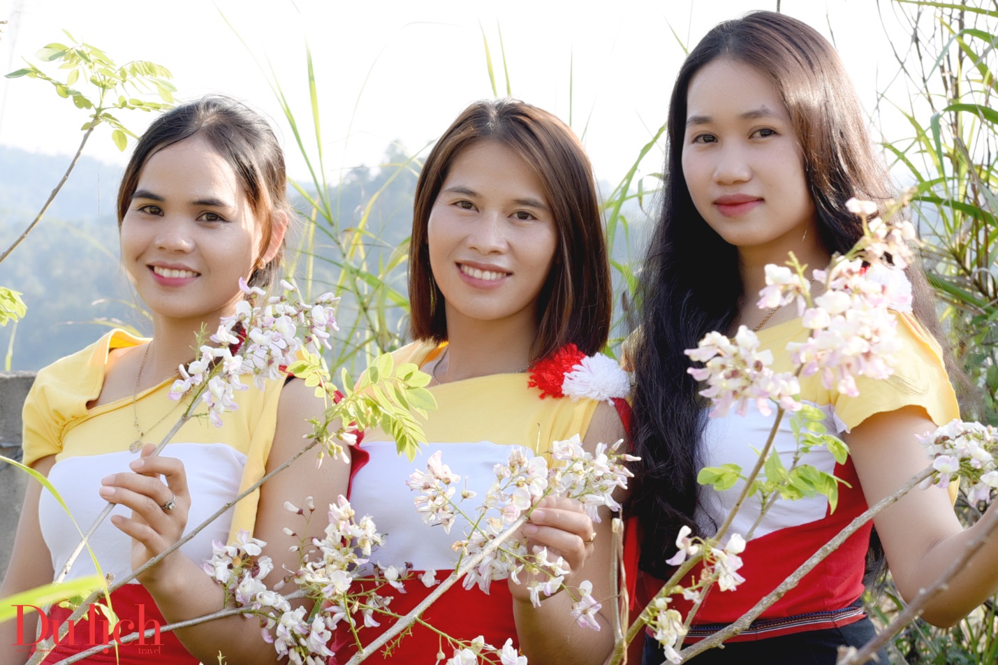 ban hoa ca nui rung ruc ro sac mau son tay thuong - 17