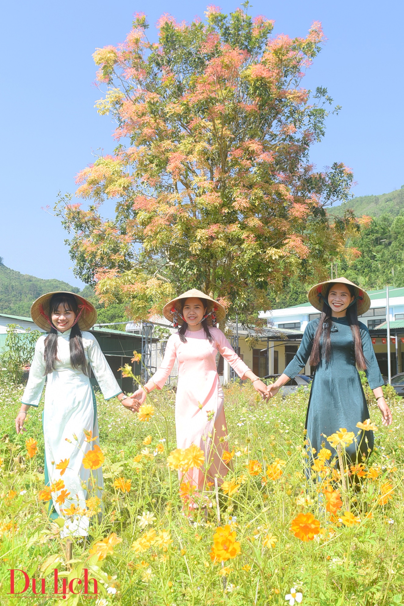 ban hoa ca nui rung ruc ro sac mau son tay thuong - 13