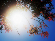 Bản hòa ca núi rừng rực rỡ sắc màu Sơn Tây Thượng