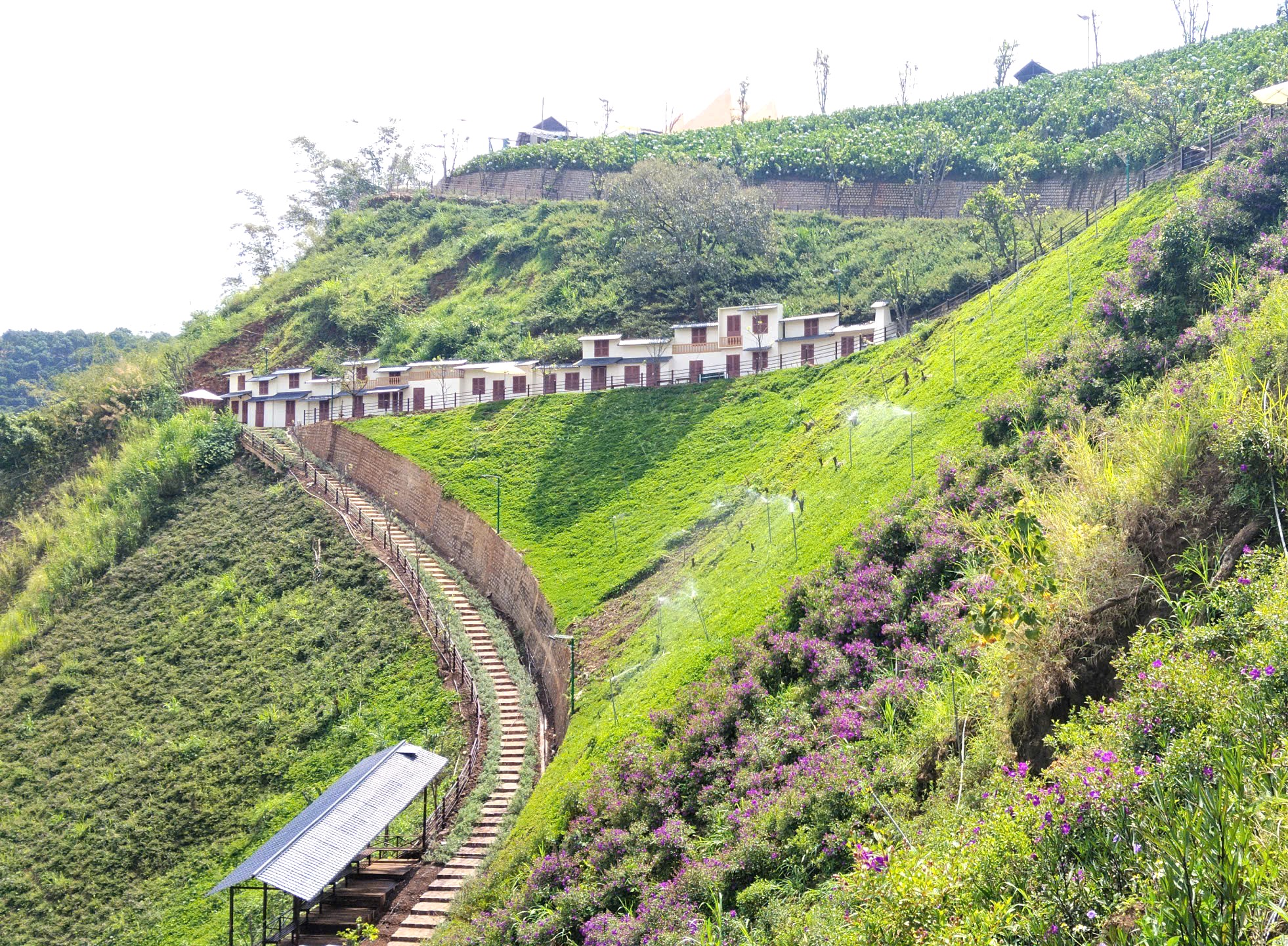 Đà Lạt xuất hiện điểm tham quan du lịch mới toanh - 1