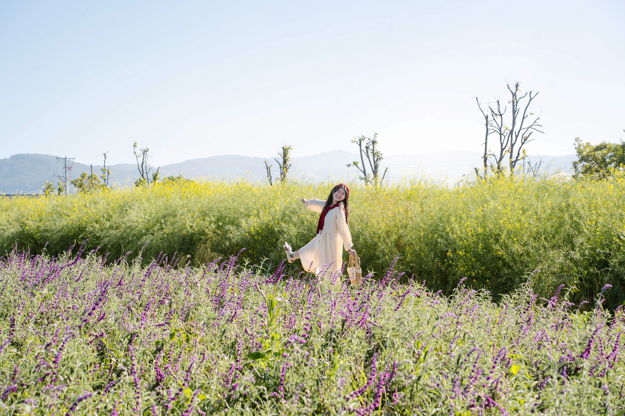 Đà Lạt xuất hiện điểm tham quan du lịch mới toanh - 4