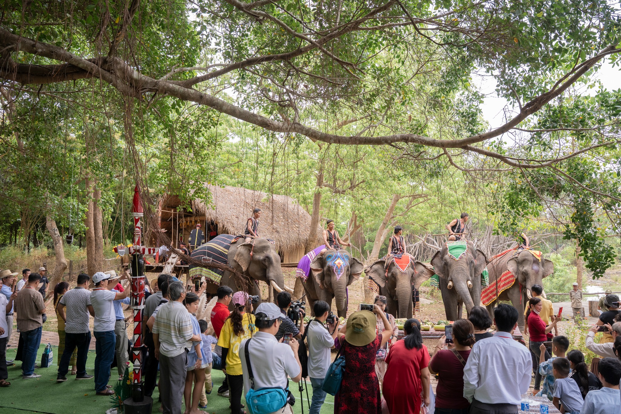 Đắk Lắk khởi động chuỗi hoạt động du lịch đặc sắc, hấp dẫn năm 2026 - 4