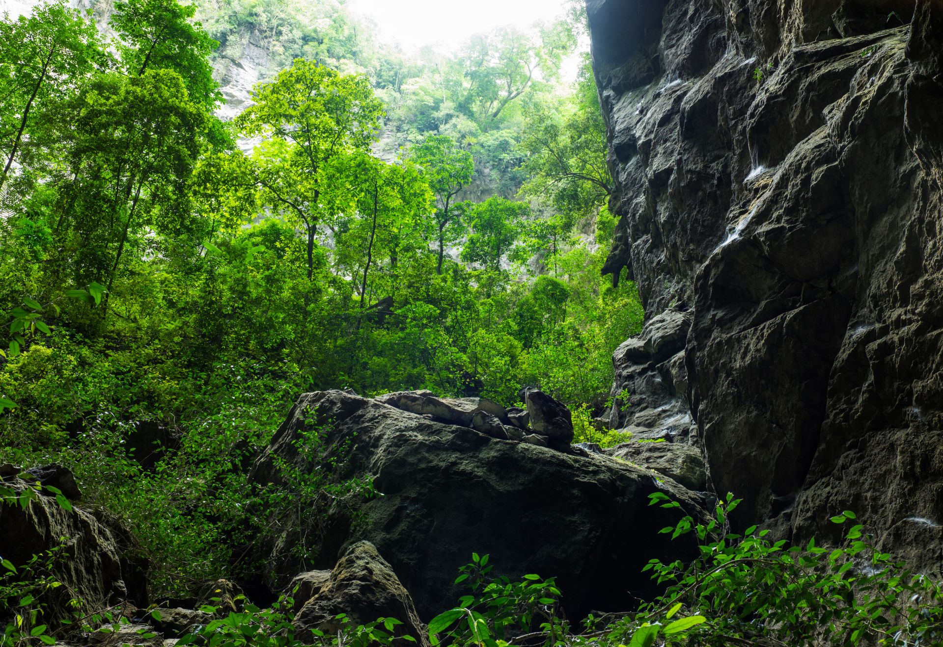 Vẻ đẹp 'siêu thực' của một điểm du lịch Việt Nam được truyền thông Mỹ ca ngợi hết lời - 4