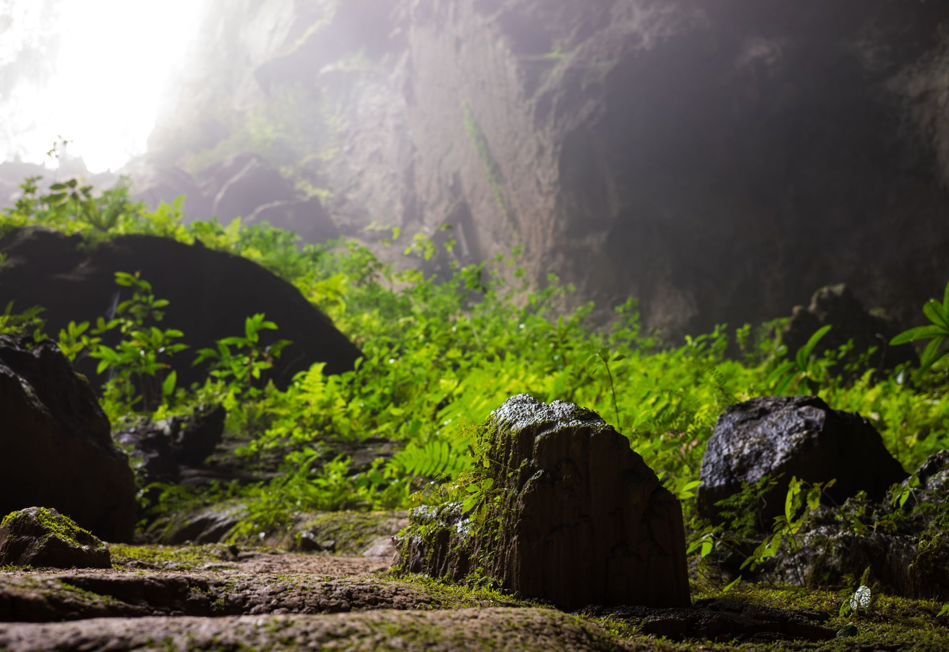 Vẻ đẹp 'siêu thực' của một điểm du lịch Việt Nam được truyền thông Mỹ ca ngợi hết lời - 5