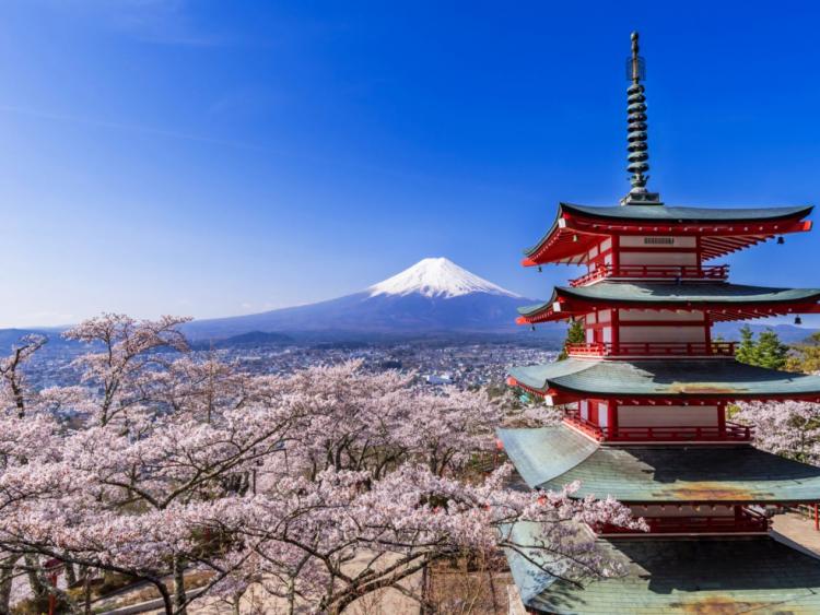 Bay thẳng đến núi Phú Sỹ từ Hà Nội