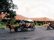 SUỐI KHOÁNG NÓNG BÌNH CHÂU - VÙNG ĐẤT HỨA