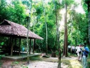 Di tích quốc gia đặc biệt - Trung ương Cục miền Nam: Rừng thiêng của Việt Nam