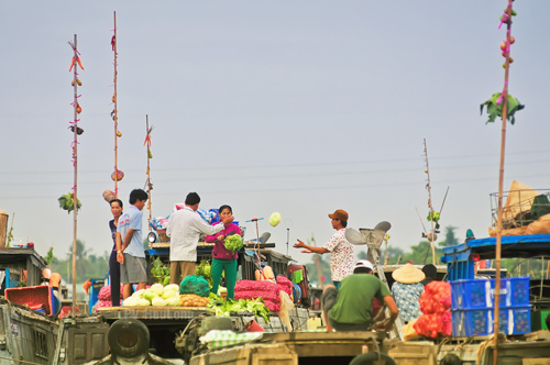 Các Hiệp hội Du lịch miền Trung tham gia Famtrip ở Đồng bằng sông Cửu Long - 4