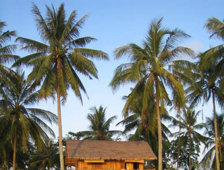 Bintan, hòn đảo của giấc mơ - 1