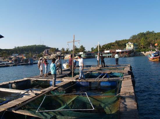 Du lịch Làng chài Trí Nguyên - 1