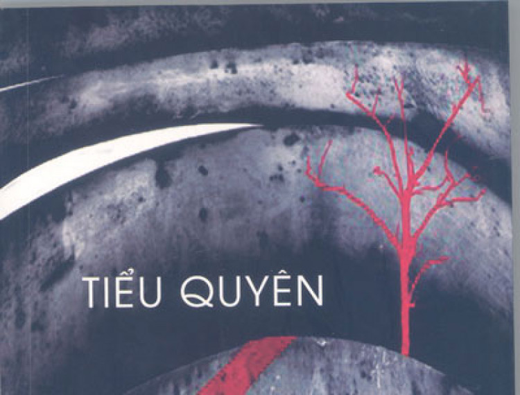 TIỂU QUYÊN - CON TÀU ĐI TÌM SÂN GA - 1