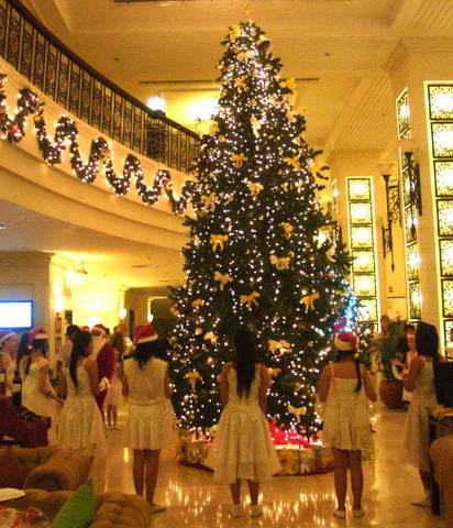 Khách sạn Sunrise Nha Trang: Cây Noel gây quỹ tình thương - 2