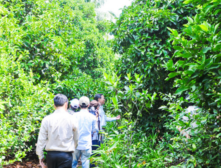 Farmtrip Du lịch sinh thái vườn cây ăn trái Lái Thiêu - 1