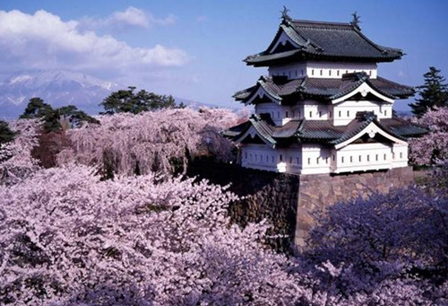 Những lâu đài cổ xưa nhất Nhật Bản - 3