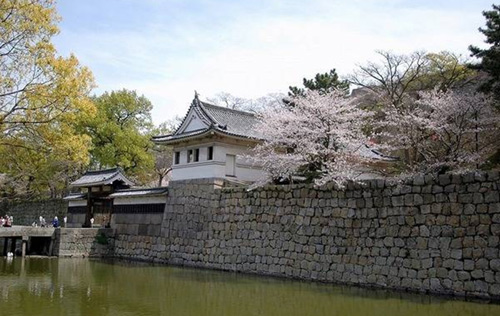 Những lâu đài cổ xưa nhất Nhật Bản - 5