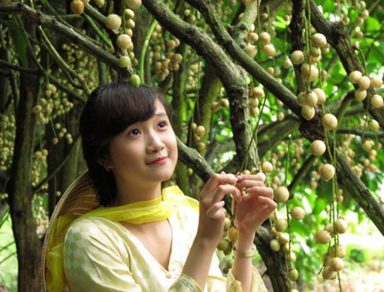 Phong Điền-Cần Thơ:  Tâm điểm của du lịch xanh - 1