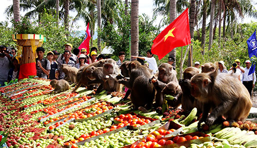 Khatoco và Festival Biển Nha Trang- Khánh Hòa 2015 - 3