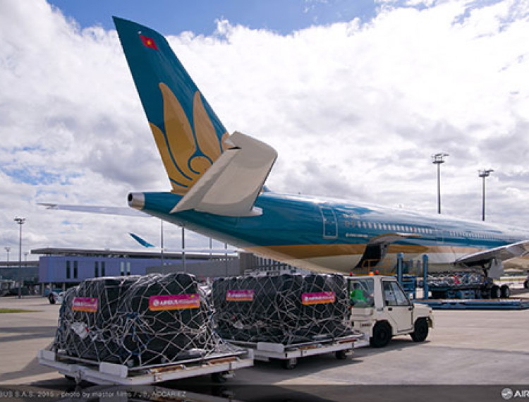 Vietnam Airlines và Airbus vận chuyển miễn phí máy lọc thận nhân tạo cho Bệnh viện Thận Hà Nội - 1