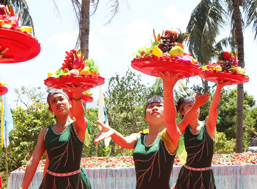 Nha Trang: Tổ chức Festival khỉ 2016 - 3
