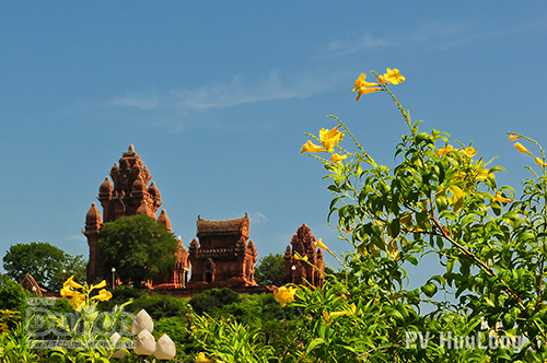 Ninh Thuận – Điểm đến hấp dẫn, giàu tiềm năng phát triển du lịch - 1