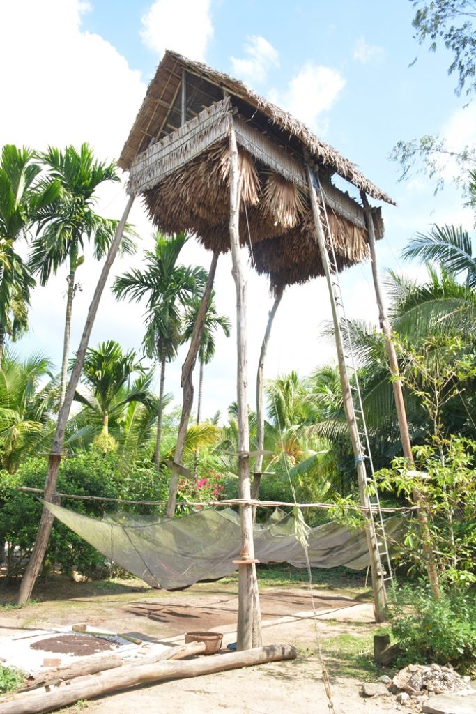 Những chuồng nuôi dơi độc đáo ở miền Tây Nam Bộ - 2