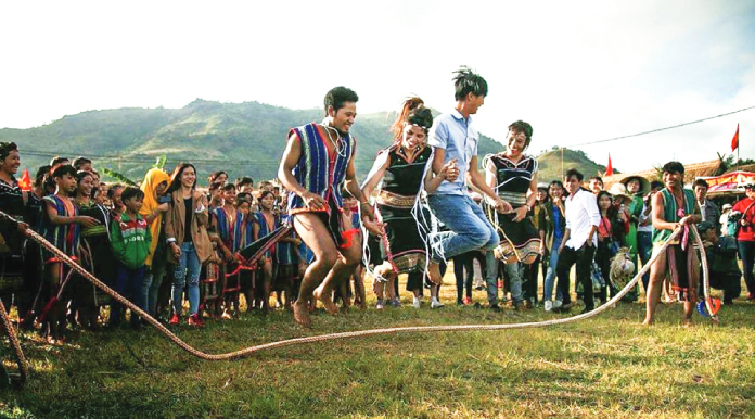Chư Đang Ya, mùa hoa dã quỳ khoe sắc - 4