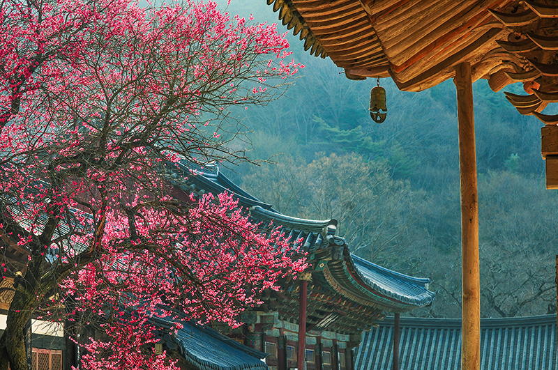 Tổng cục du lịch Hàn Quốc phát động cuộc thi “RELIVE YOUR KOREA TRIP” - 1