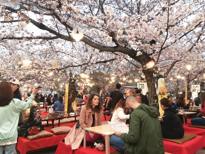 Ngắm hoa anh đào Nhật Bản ngẫm về 12 mùa hoa quê hương - 1