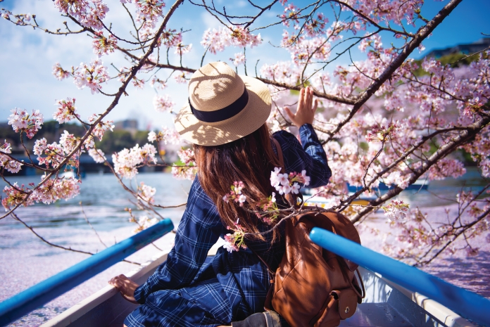 Ngắm hoa anh đào Nhật Bản ngẫm về 12 mùa hoa quê hương - 2