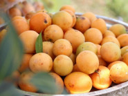 5 loại trái cây gợi nhớ miền Tây