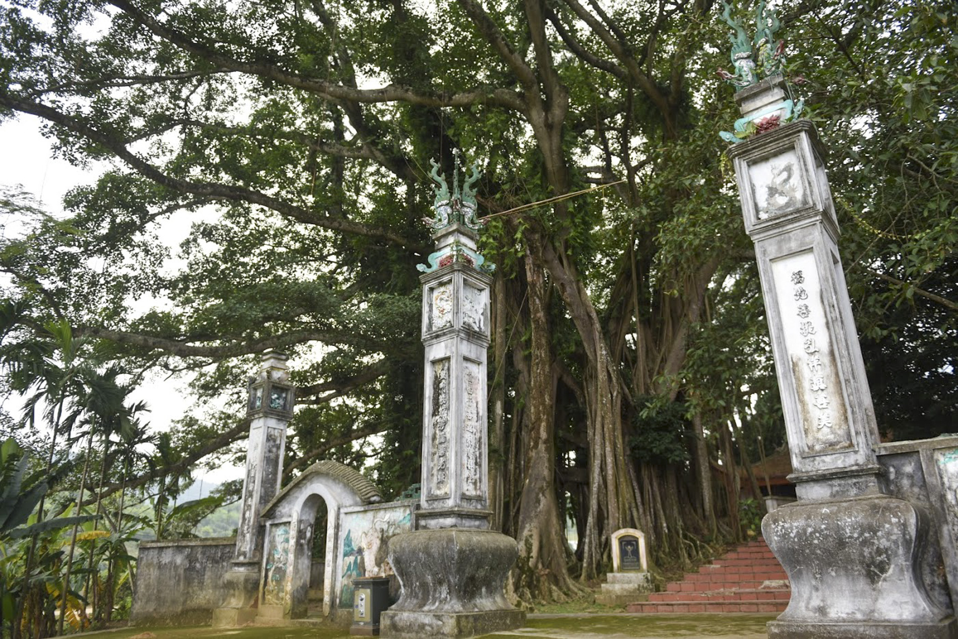 Chiêm ngưỡng "báu vật" xanh bên đền cổ thờ Tản Viên Sơn Thánh - 1