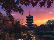 Khám phá ngôi chùa 400 tuổi vẫn đứng vững sau nhiều trận động đất