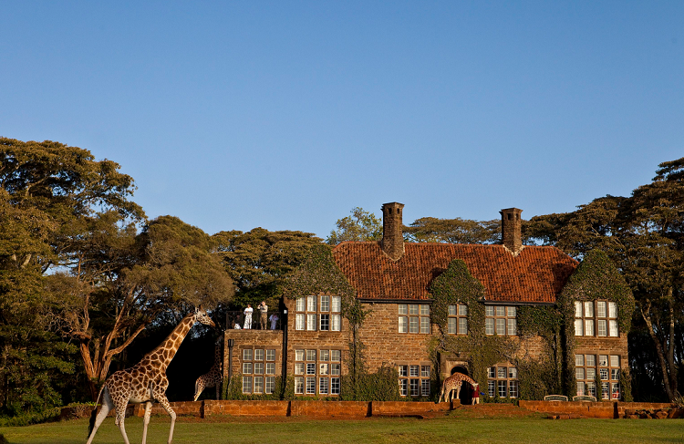Đẹp như trong truyện cổ tích, Giraffe Manor là khách sạn nằm ở phía Tây Nam Nairobi , nơi đây khiến du khách mê mẩn bởi kiến trúc gạch mộc hay thảm cỏ xanh mướt bao quanh khuôn viên khách sạn . Ở khách sạn này, du khách khó có thể từ chối những chú hươu cao cổ dễ thương – những vị khách tò mò luôn sẵn sàng nhìn qua khung cửa sổ để thưởng thức bữa sáng cùng du khách trước khi quay trở lại khu bảo tồn thiên nhiên gần đó. 
