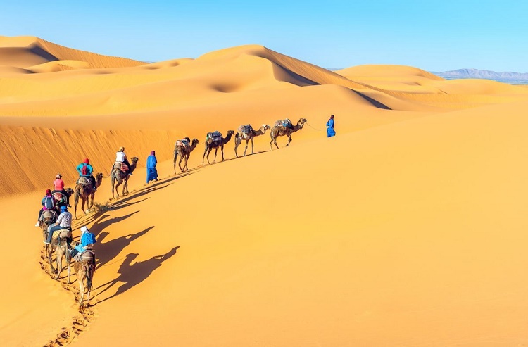 Để nói về sa mạc, người ta thường sử dụng các tính từ 'nóng', 'khô', 'trống trải'. Một số sa mạc hoang vu, ít dấu hiệu của sự sống, một số lại là nơi sinh sống của nhiều loại động thực vật. Một điểm chung của tất cả các sa mạc là khô cằn. Các chuyên gia đồng ý rằng sa mạc là vùng đất nhận lượng mưa không quá 25 cm mỗi năm. Tồn tại bên cạnh những sa mạc cằn cỗi chỉ có cát, những sa mạc đẹp nhất thế giới với các đặc điểm riêng là địa điểm hút khách ghé thăm. 
