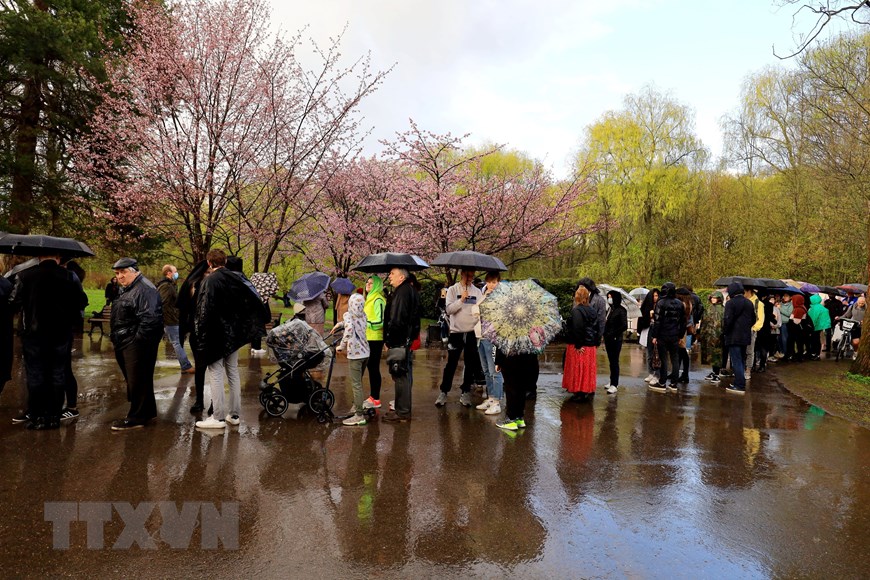 Người dân Moskva đội mưa tới công viên ngắm hoa anh đào đua nở - 3