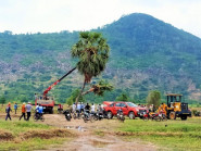 Cứu huyền thoại thốt nốt tình yêu Khedol ở Tây Ninh