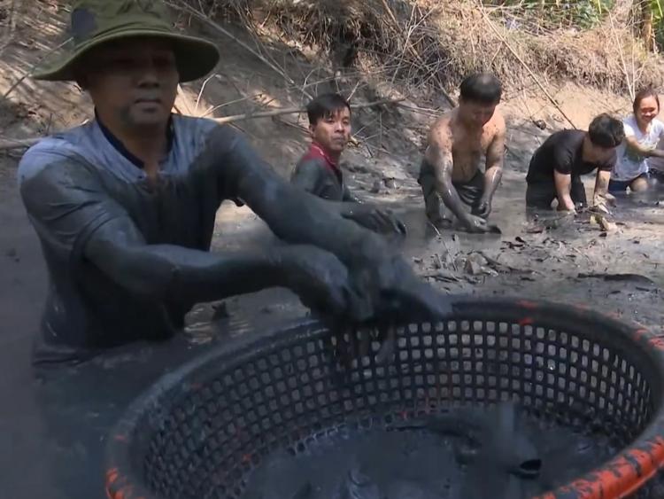 Tát đìa bắt cá - nét văn hóa của người dân Cà Mau