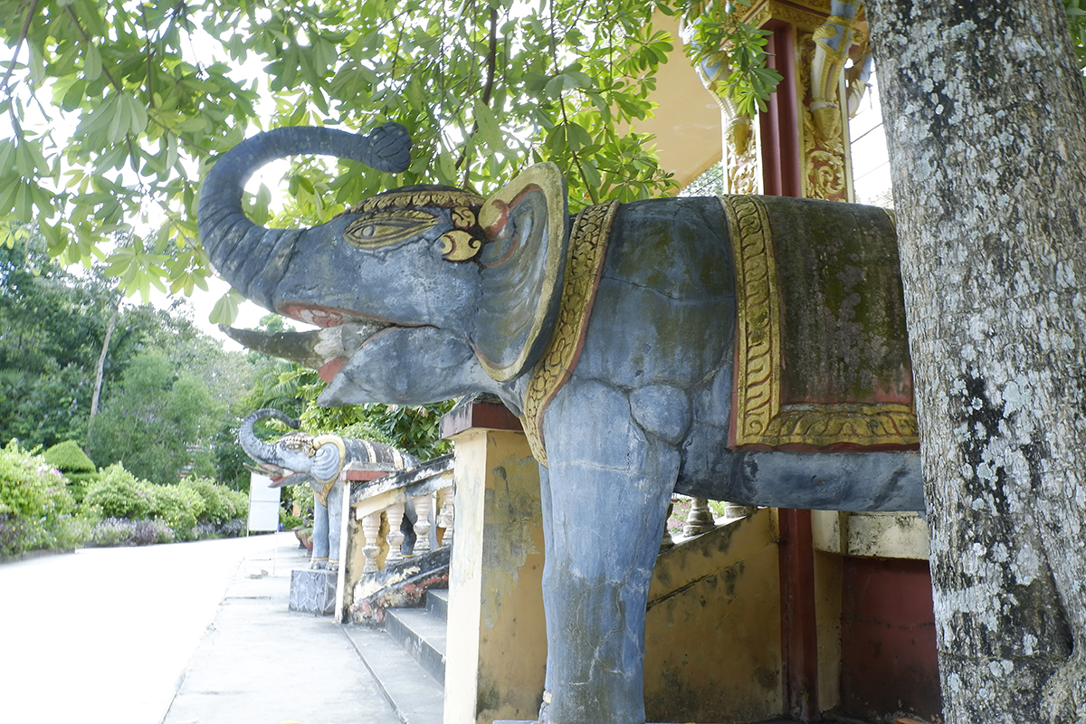 Đến chùa Som Rong Sóc Trăng chiêm ngưỡng tượng Phật nằm - 6