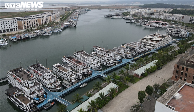Cận cảnh hơn 500 tàu du lịch nằm 'ngắc ngoải' bên bờ Vịnh Hạ Long - 4