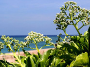 Ngắm “phong ba, bão táp” hiên ngang giữa Trường Sa