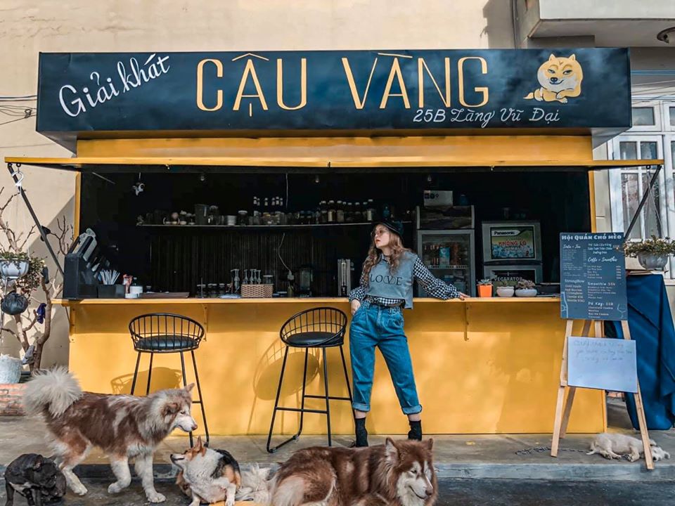 "Tan chảy" với 5 tiệm cà phê thú cưng ở phố núi Đà Lạt - 6