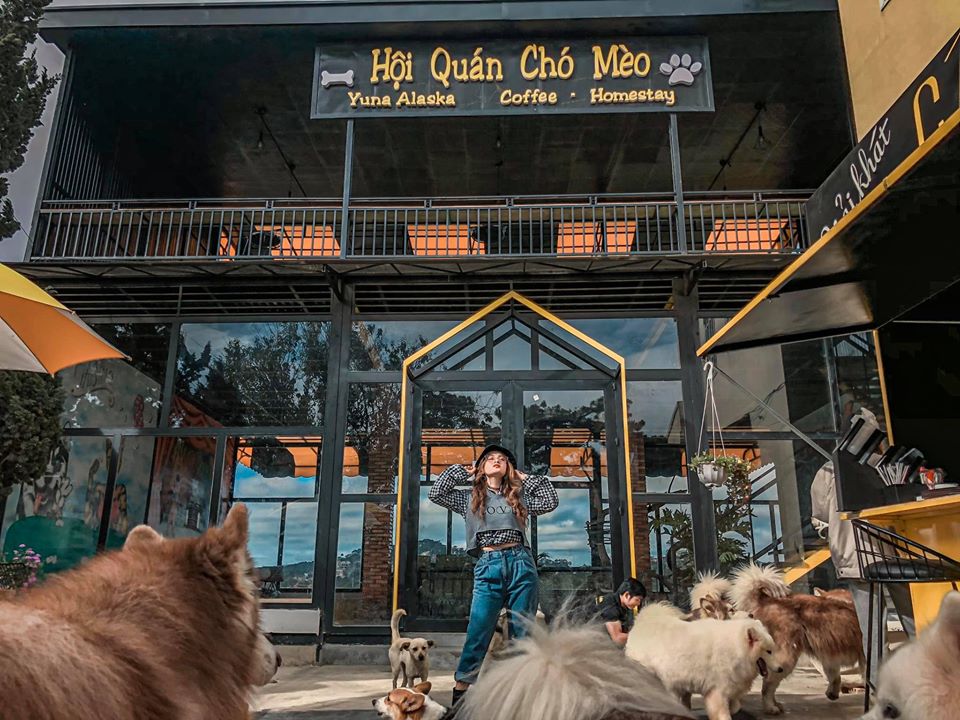 "Tan chảy" với 5 tiệm cà phê thú cưng ở phố núi Đà Lạt - 7