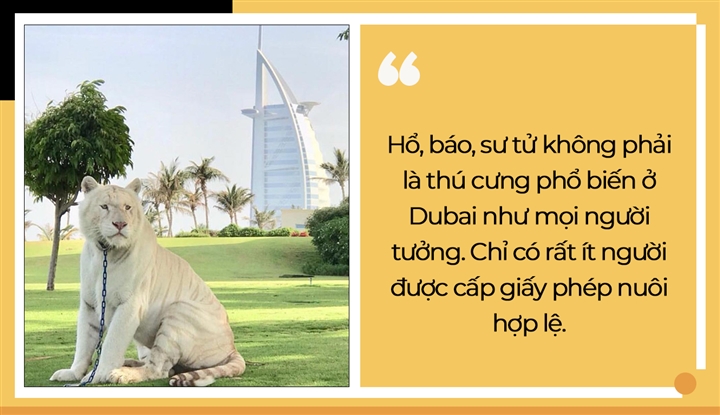 Ai cũng nghĩ Dubai là một quốc gia giàu có bậc nhất, nhưng tất cả đã lầm - 7