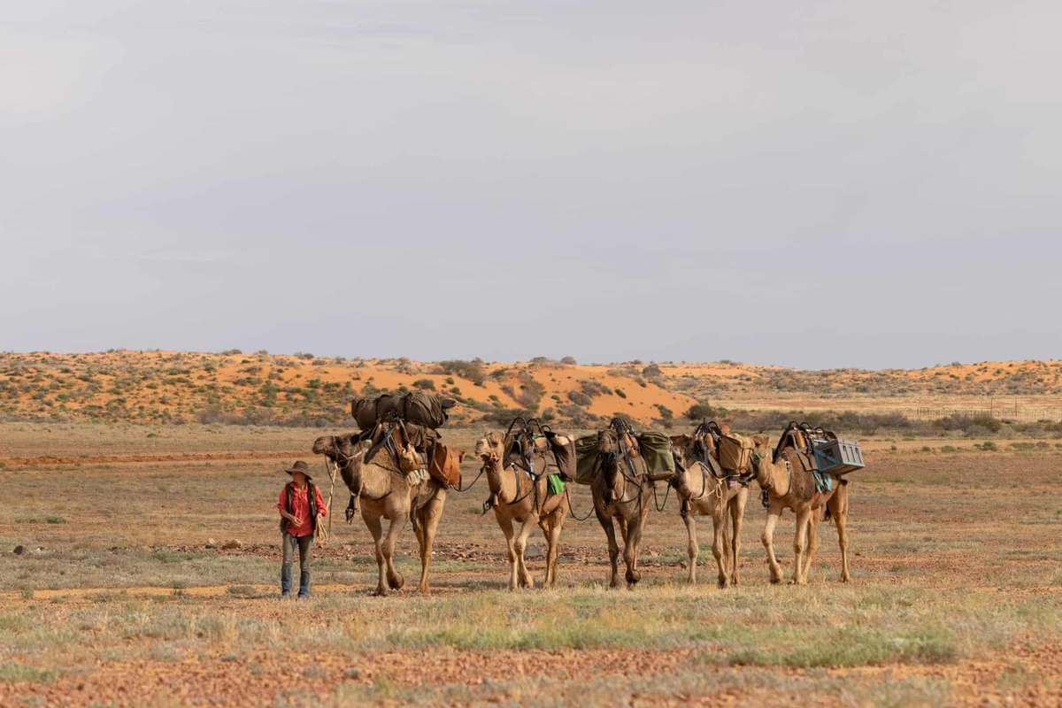 Cô gái bỏ việc để đi bộ 5.000 km cùng lạc đà - 3