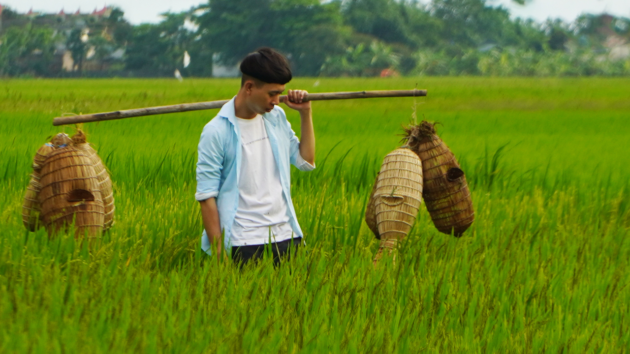 Ở nhà mùa dịch, ngắm Việt Nam tươi đẹp qua thước phim của những người trẻ - 10