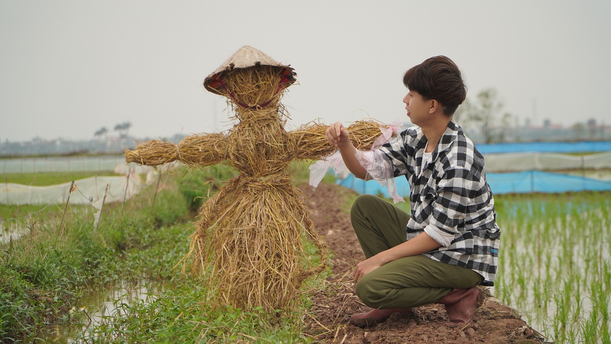 Ở nhà mùa dịch, ngắm Việt Nam tươi đẹp qua thước phim của những người trẻ - 16