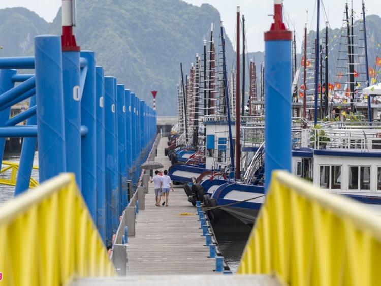 Hơn 500 tàu du lịch Hạ Long 'kêu cứu' Thủ tướng vì nguy cơ phá sản