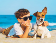 Xu thế du lịch cùng thú cưng và những điều cần lưu ý