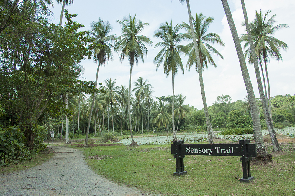 Đến Pulau Ubin “xem lại” những hình ảnh, thước phim của “ngày hôm qua” - 8